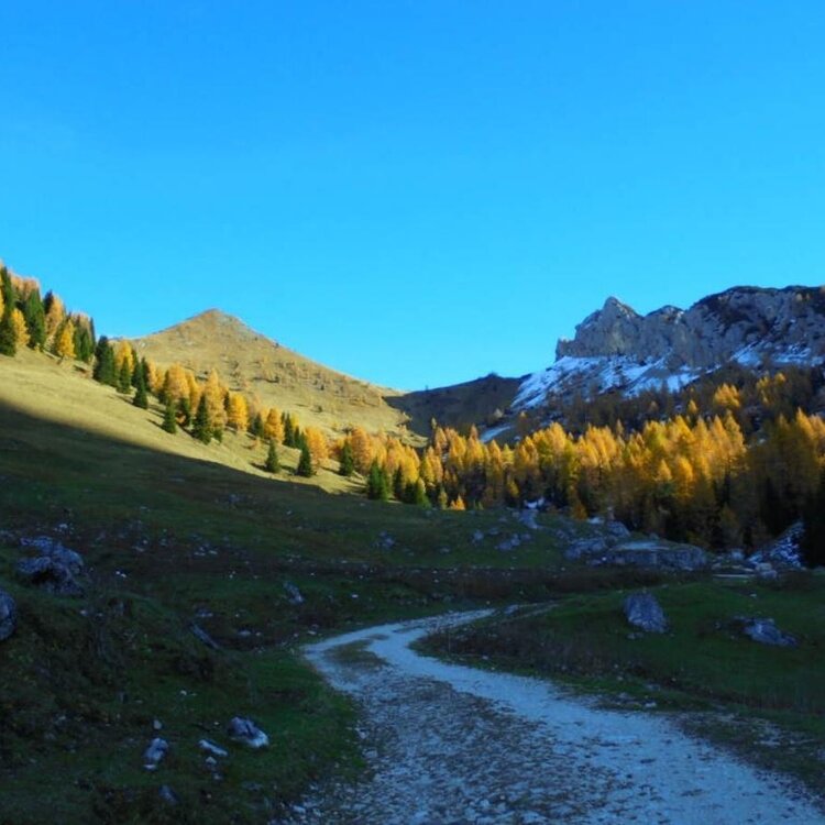 forcella forada.